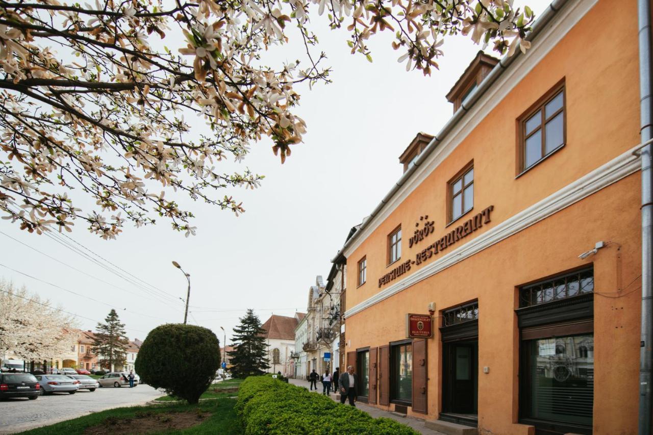 Voeroes Guest House Târgu Secuiesc Exterior photo