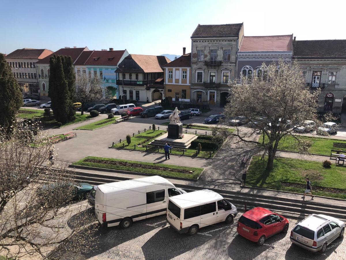 Voeroes Guest House Târgu Secuiesc Exterior photo